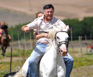 Perde Boeresport in Baardskeerdersbos